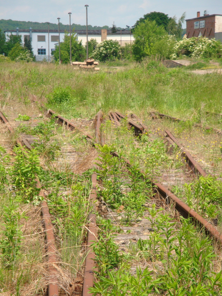 Die ehemaligen Rangiergleise am Naumburger Ostbahnhof; 28.05.2011 (Foto: G�nther G�bel)