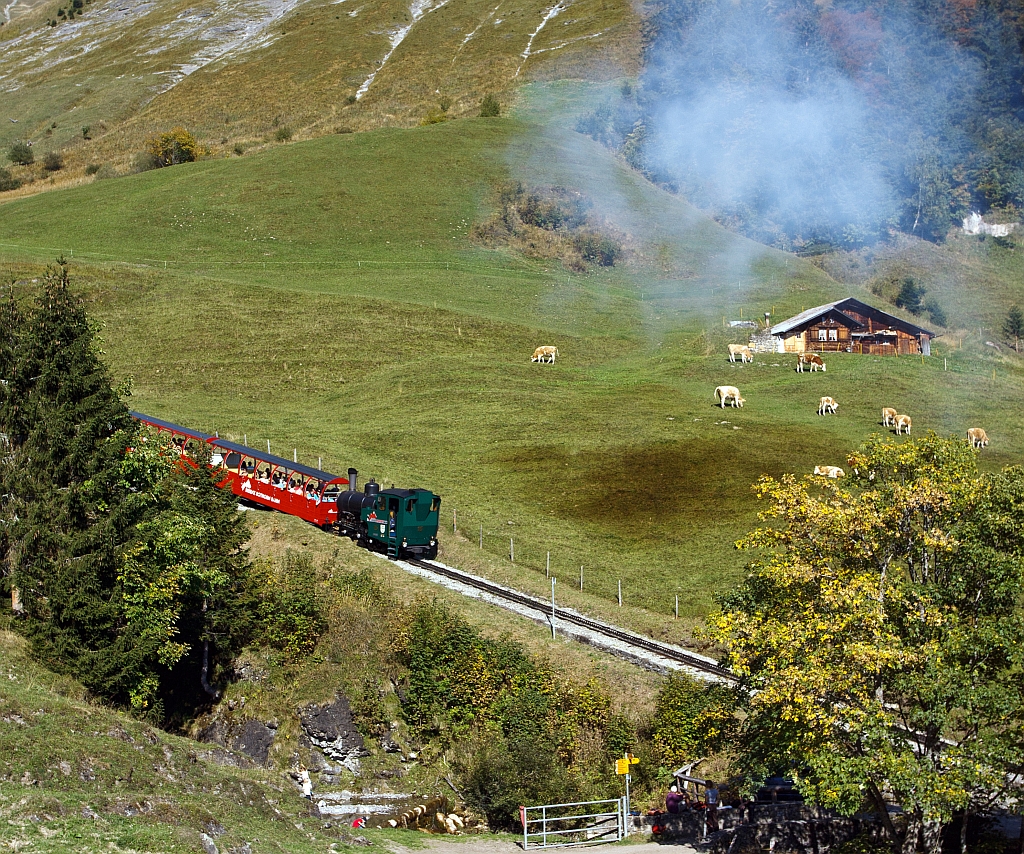 Die Heizl befeuerte BRB 15 Stadt Kanaya (Japan) am 01.10.2011 kurz oberhalb der Station Station Planalp  (1346 m . M), fhrt zum Brienzer Rothorn hinauf. Die Lok Baujahr 1996 (3. Generation) wurde unter der Fabrik-Nr. 5690 bei der Schweizerische Lokomotiv- und Maschinenfabrik, Winterthur (heute DLM AG) gebaut.