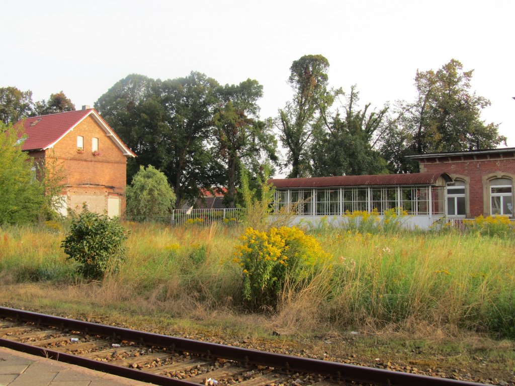 Die noch vorhandene �berdachung der Treppe zur Unterf�hrung zum Bahnsteig in Laucha, mit den zugewachsenen alten G�ter- und Rangiergleisen; 22.08.2011 (Foto: Dieter Thomas)