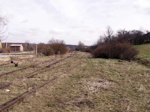 Die Reste der Gleisanlagen im Bf Bad Bibra; April 2006 (Foto: Klaus Erbeck)