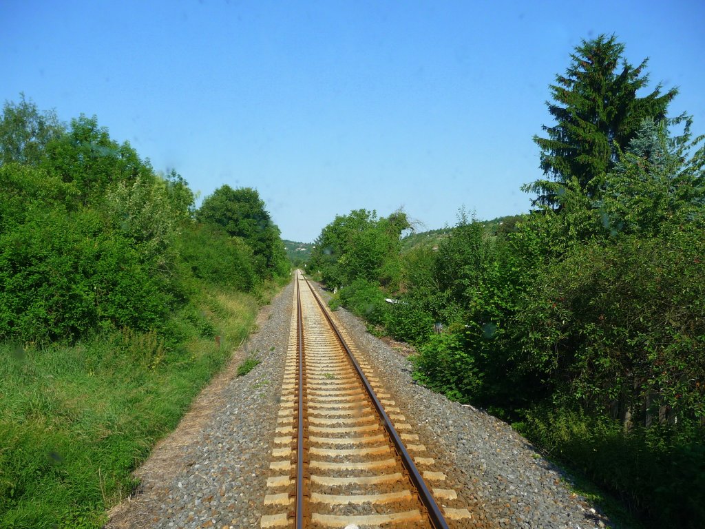 Die Unstrutbahn zwischen Freyburg und Balgst�dt; 29.06.2010