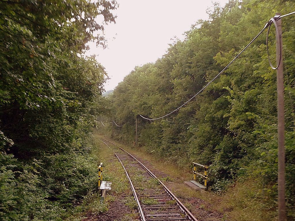 Die Unstrutbahn zwischen Wangen und Ro�leben; 15.08.2010 (Foto: Ralf Kuke)