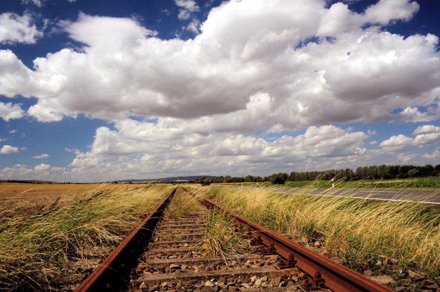Die verwaiste Unstrutbahn zwischen Gehofen und Reinsdorf; 10.07.2009 (Foto: Selmar Petzoldt)