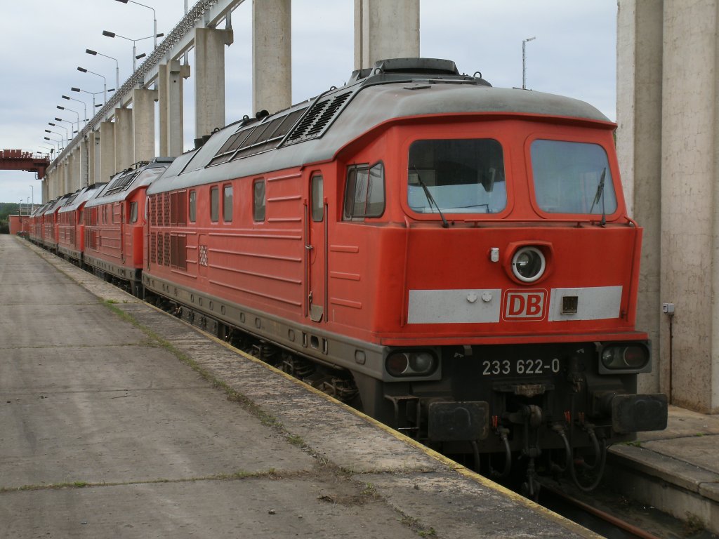 Diesmal sind einige 233er in Mukran abgestellt wurden,so auch die Magdeburger 233 622-0.Aufnahme vom 04.September 2012.