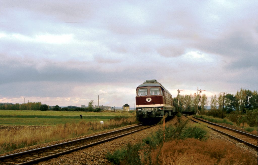 DR 132 393-0 mit einem Personenzug nach Erfurt Hbf, am Gleisdreieck in Reinsdorf b Artern. Rechts sieht man das Unstrutbahngleis; 01.10.1989 (Foto: Klaus Pollm�cher)