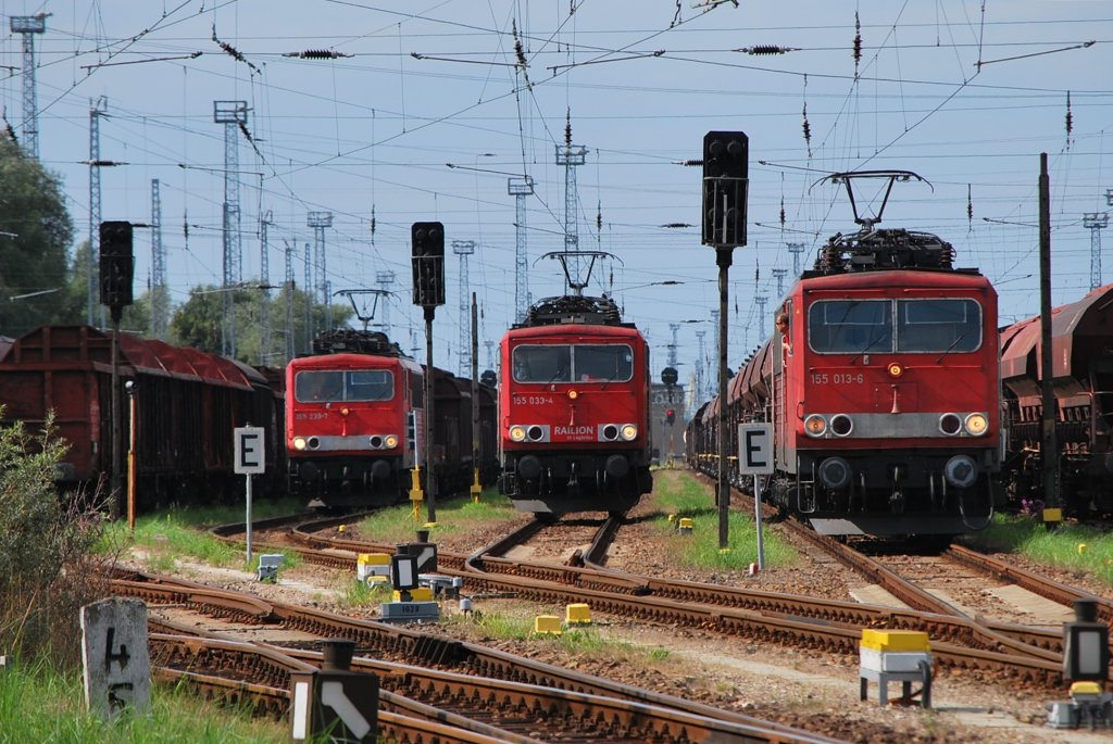 Drei auf einen Streich!!Am 20.08.2010 zeigen sich in Rostock-Seehafen die 155 013,033 und 239.