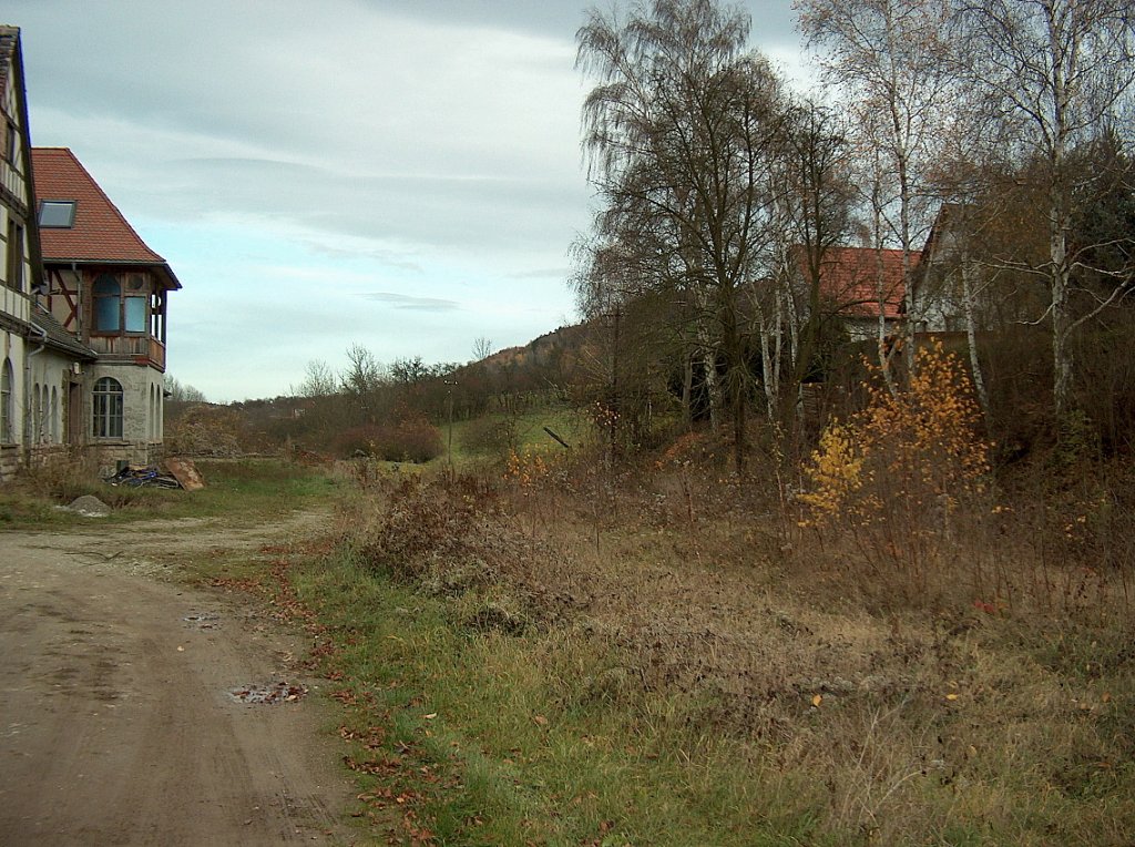 Ehemalige Bahnsteig- und Gleisanlagen in Bad Bibra; 15.11.2009