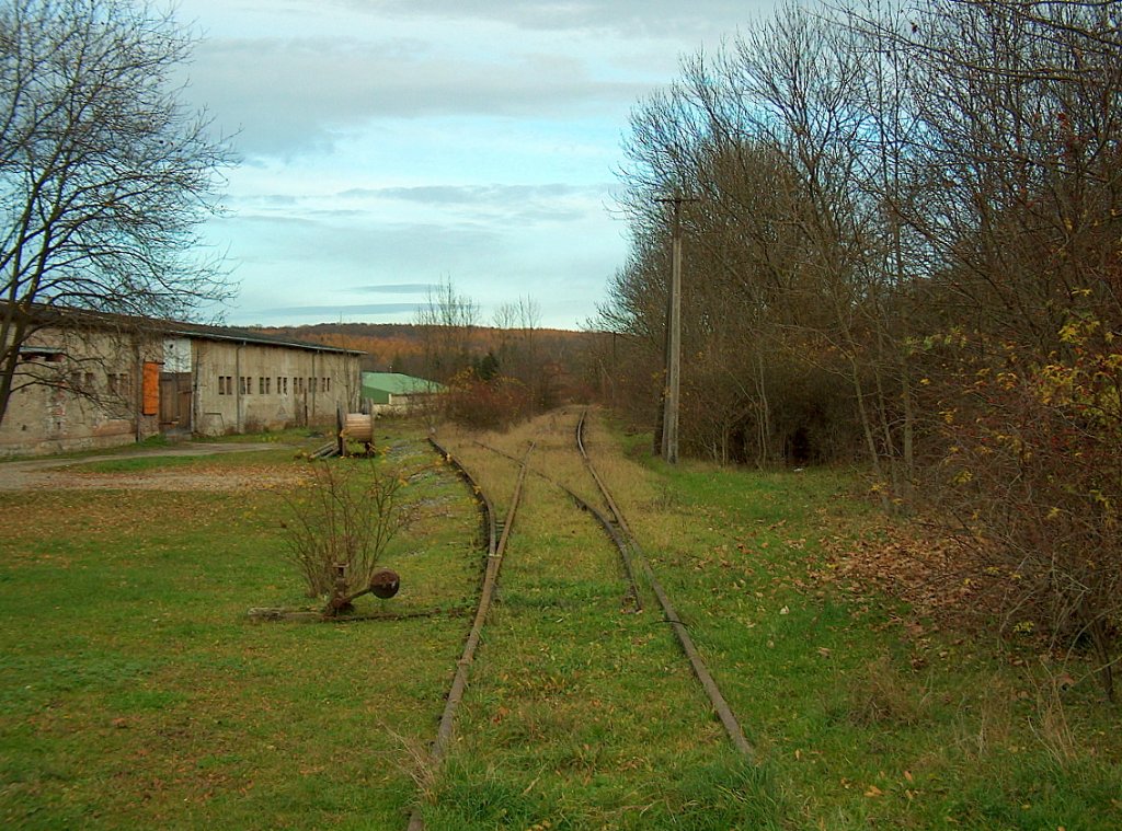 Ehemaliges Anschlussgleis der VEAB (Volkseigener Erfassungs- und Aufkaufbetrieb) Getreidewirtschaft Bad Bibra. Der Anschlu� wurde per 1.7.1988 stillgelegt; 15.11.2009