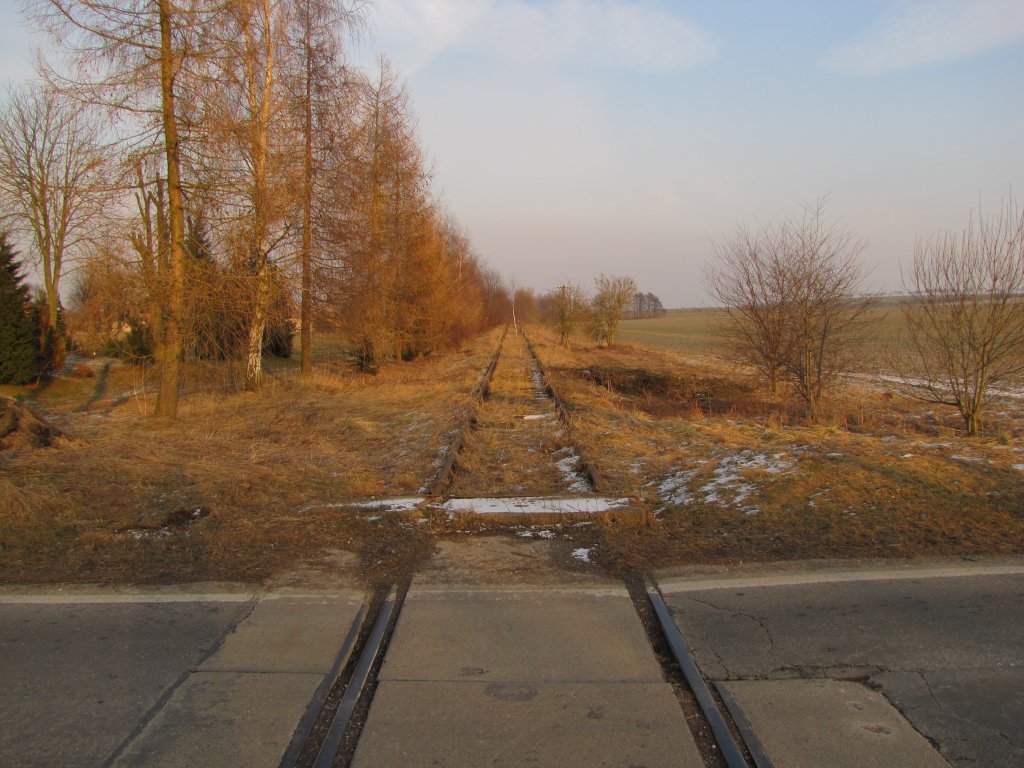 Ehemaliges Finnebahngleis von Laucha nach Lossa, am Bahn�bergang der B176 in Billroda; 21.02.2011
