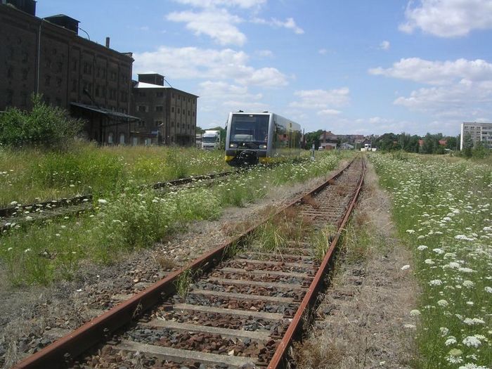 Ehemaliges Rangiergleis im Bf Ro�leben; 2007 (Foto: Thomas Menzel)
