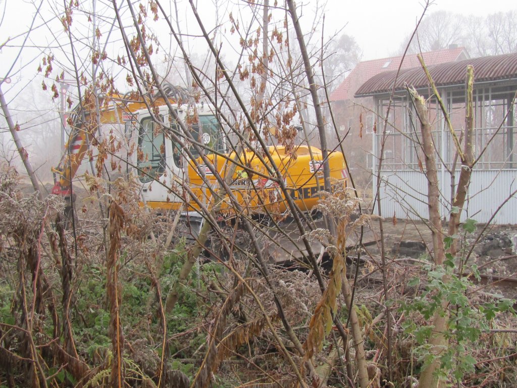 Ein Bagger der Firma STRABAG bei Bauarbeiten im Bf Laucha; 15.11.2011 (Foto: Dieter Thomas)