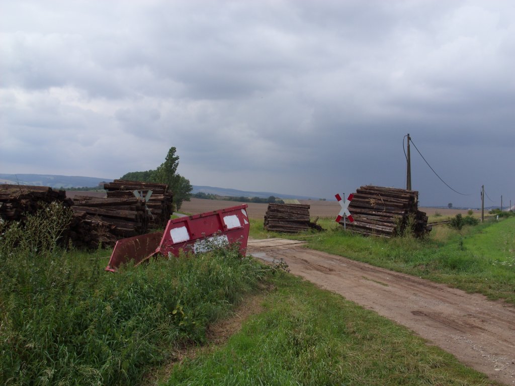 Ein Bahn�bergang zwischen Wangen und Ro�leben, wo die DGT im Auftrag der DRE die alten Gleisschwellen erneuert hat; 13.08.2011