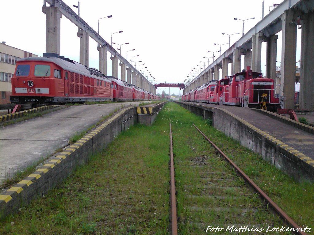 Ein Blick von der aneren Seite auf die 233er & 362er in Mukran am 20.5.13