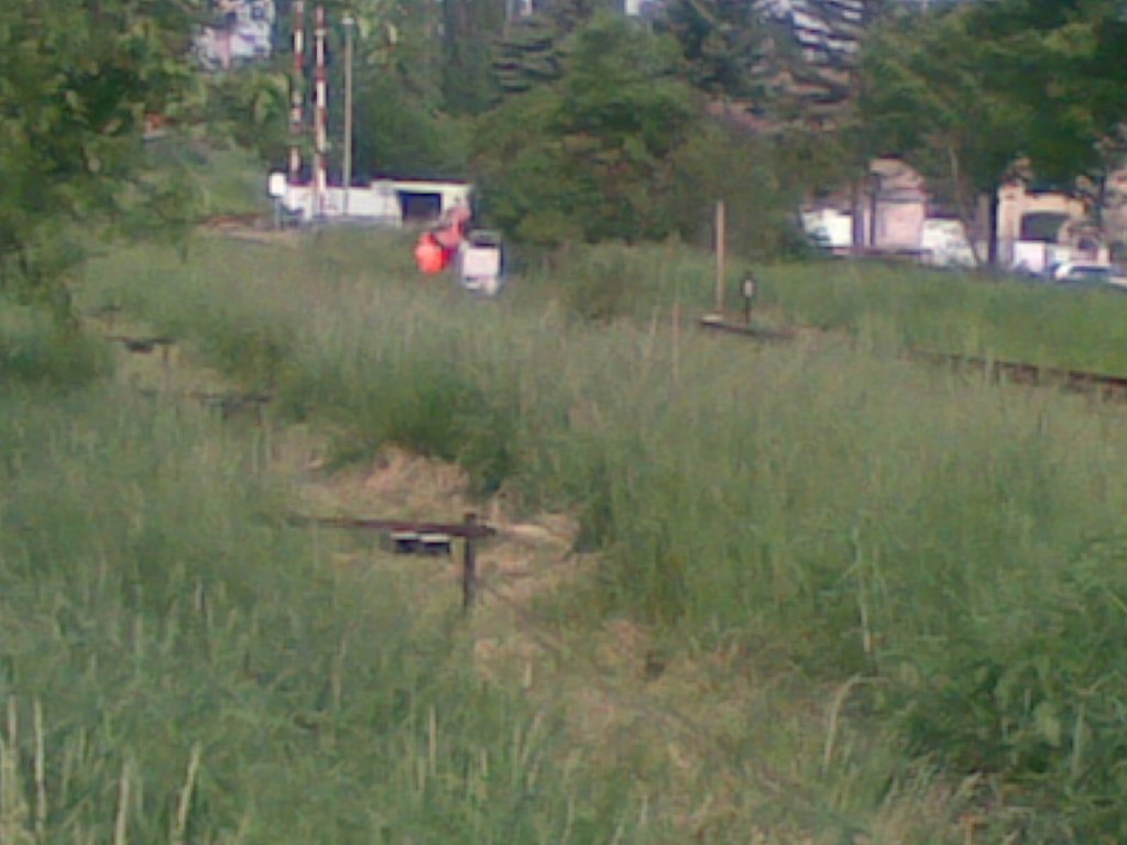 Ein DB Sicherungstechniker w�hrend eine Kontrolle gegen�ber dem Stellwerk Lw, im Bf Laucha; 26.05.2010