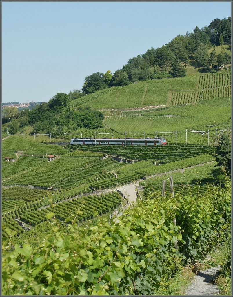 Ein  Domino  als S 21 nach Payerne bei Grandvaux.
18. Juli 2012