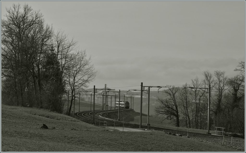 Ein Domino auf seiner Fahr nach Bern zwischen Palzieux und Romont.
12. Jan. 2013