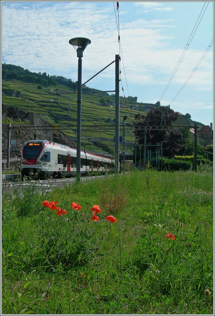 Ein Flirt im Sommer, doch wer findet den zweiten Zug?
Rivaz, den 10. Juli 2013