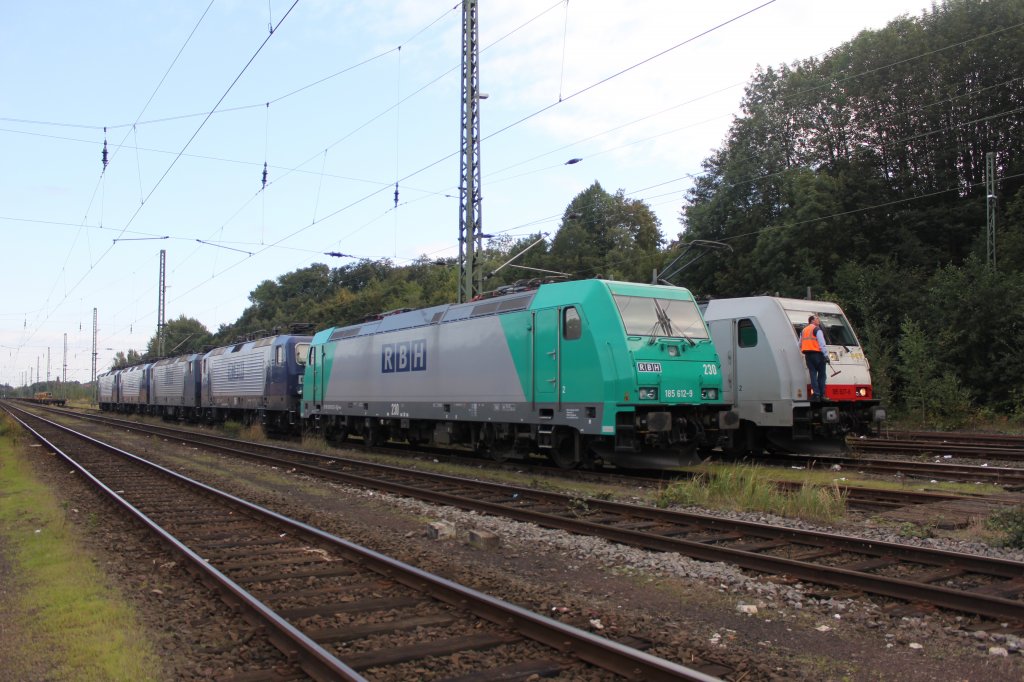 Ein Haufen RBH und PCT+ TF am Fensterputzen in Hamburg Harburg am 21.09.2011