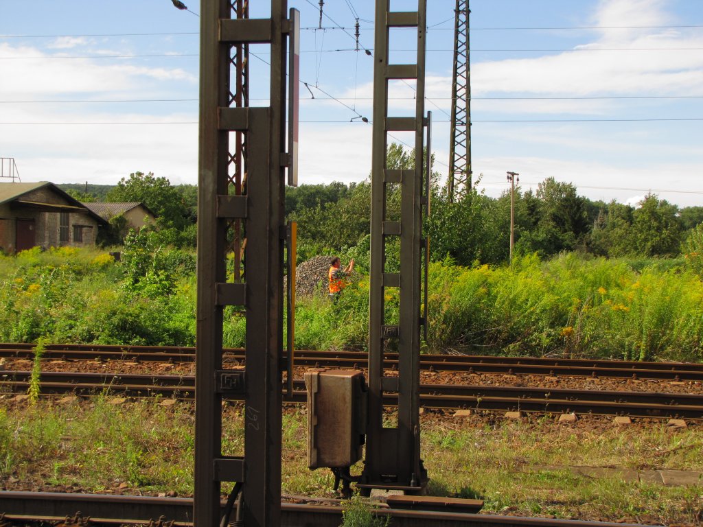 Ein stolzer Lokf�hrer der  seine  203 312 w�hrend der �berholung in Naumburg (S) Hbf fotografiert; 08.08.2011