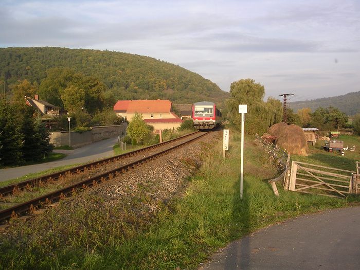 Ein Triebwagen der BR 628 als RB nach Artern am heutigen Hp Wangen; 2006 (Foto: Thomas Menzel)