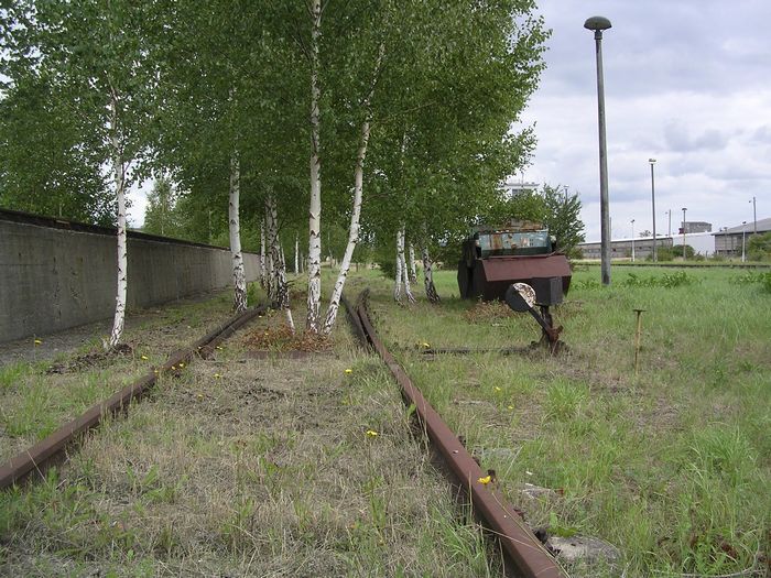 Ein zugewachsenes Rangiergleis im Bf Vitzenburg; 2006 (Foto: Thomas Menzel)