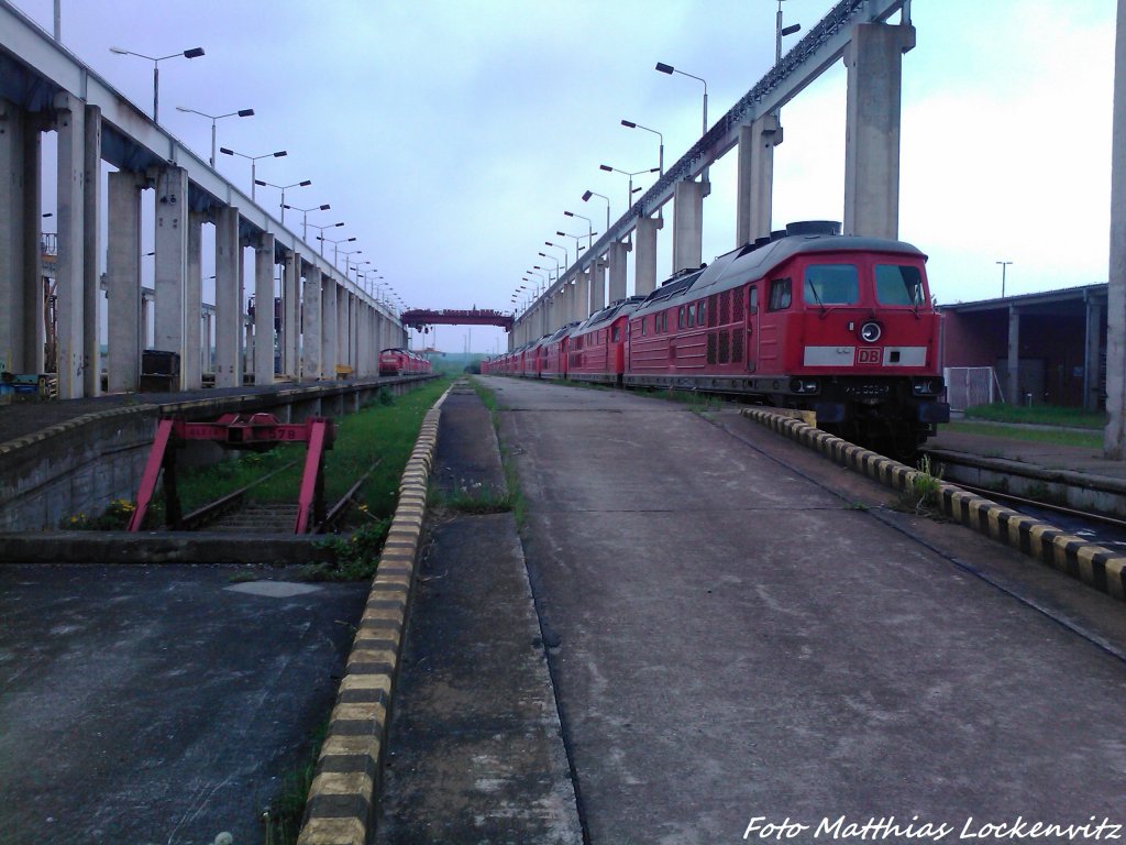 eine Ganze Reihe an 233ern und weiter links hinten standten Weitere 233er und 2 362er und eine 290 in Mukran am 20.5.13