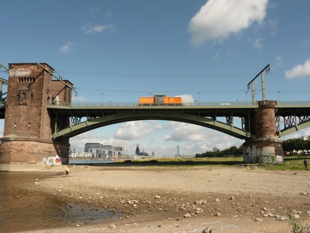 Eine nicht nher identifizierbare 203 der Bocholter Eisenbahn am 06.08.2012 auf der Klner Sdbrcke.