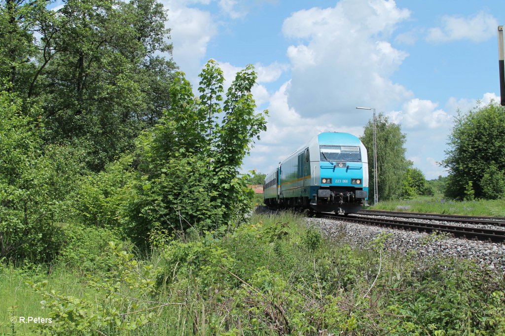 Einfahrt 223 066 mit dem ALX84113 Hof - Mnchen in Wiesau/Oberpfalz. 11.06.13