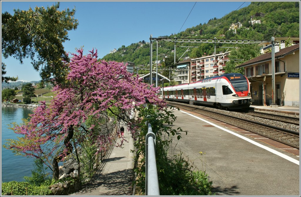 Endlich Frhling, wenn auch nur fr einen Tag: Ein Flirt nach Villenuve bei  Veytaux de Chillon.
14. Mai 2013