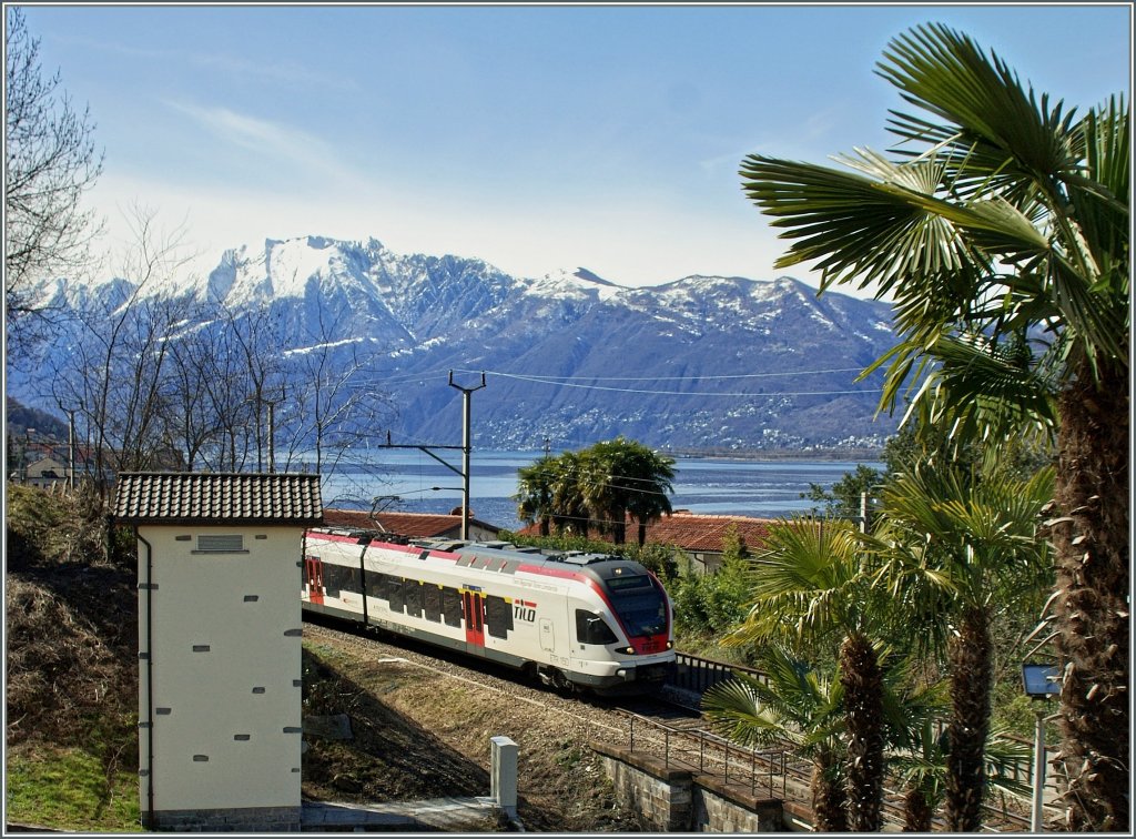 Etwas besser platziert: Ein Flirt (RABe 524 bzw. ETR 150) auf der Fahrt von Malpensa Aeroporto nach Cadenazzo bei Magadino.
21. März 2013