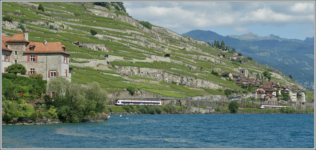  Flirts  im Lavaux zwischen Rivaz und St-Saphorin.
28.05.2011
