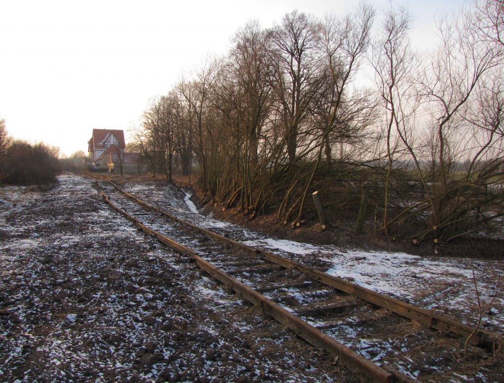 Freigelegtes Finnebahngleis kurz vor dem ehem. Bf Billroda. Die Firma Anders & Partner aus Altenroda f�hrte Arbeiten am Graben neben dem Gleis aus; 21.02.2011