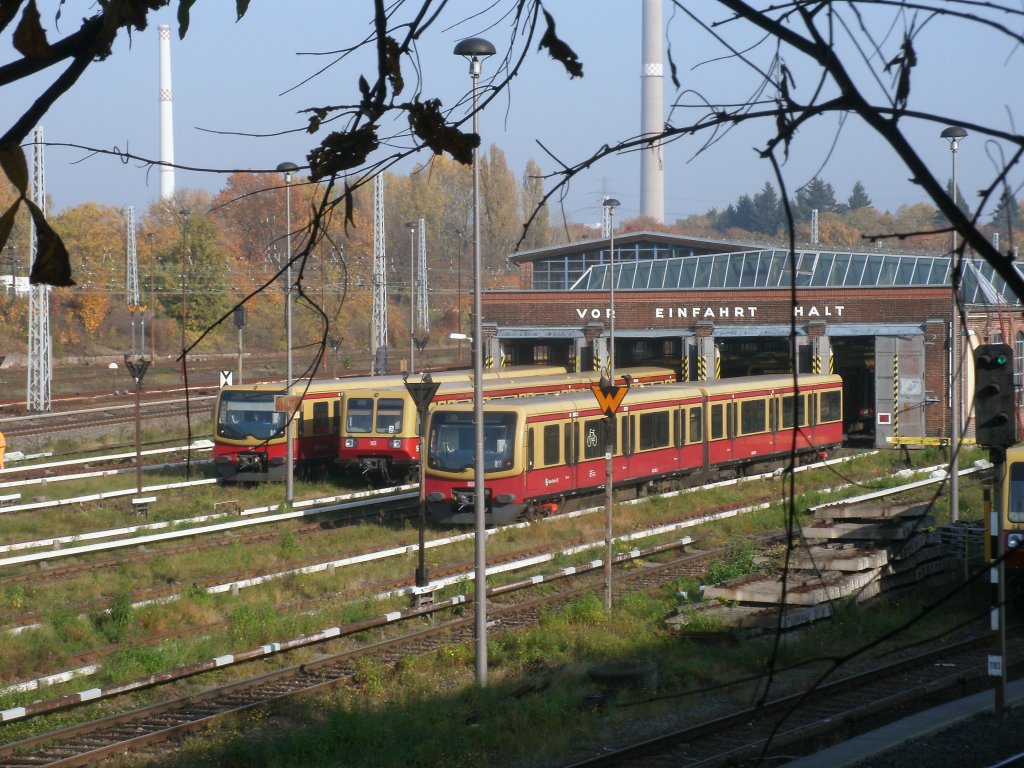 Fr die Aufnahme vom S-Bahnbw Berlin Friedrichsfelde mute ich mich,am 29.Oktober 2011,durch Gestrpp und Dornenhecken kmpfen.