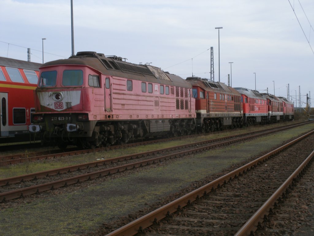 Fr die fnf 232er wird es demchst zum Schneidbrenner gehen.Am 26.November 2011 standen die Loks noch in Mukran.