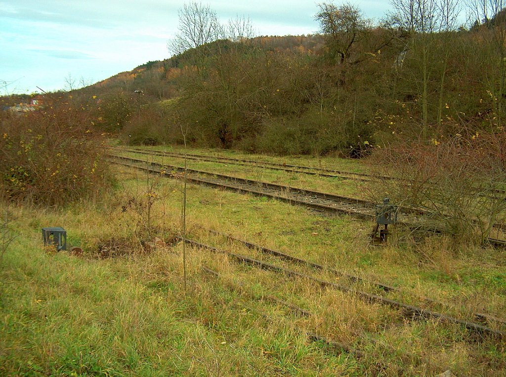 Gleisanlagen im Bahnhof Bad Bibra; 15.11.2009