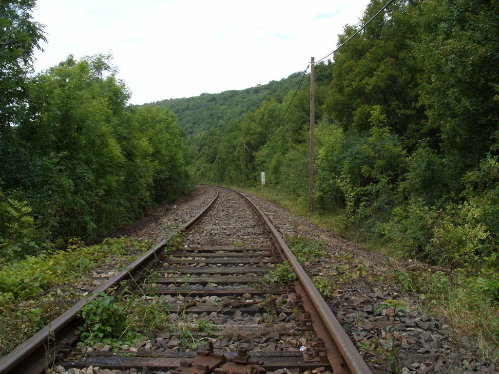 Hier kann man gut den �bergang von den alten zu den neuen Gleisschwellen im Gleis zwischen Wangen und Ro�leben sehen; 13.08.2011