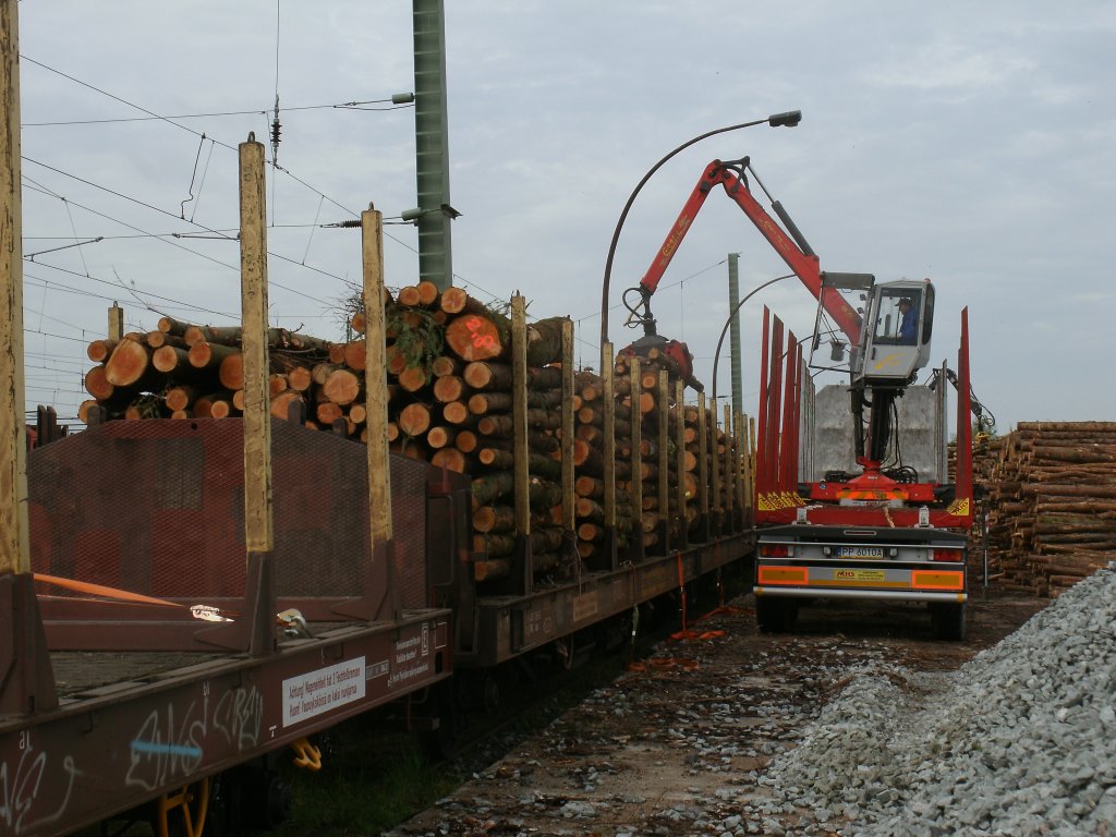 Holzverladung am Morgen,vom 11.Mai 2012,auf der Ladestrae in Bergen/Rgen.