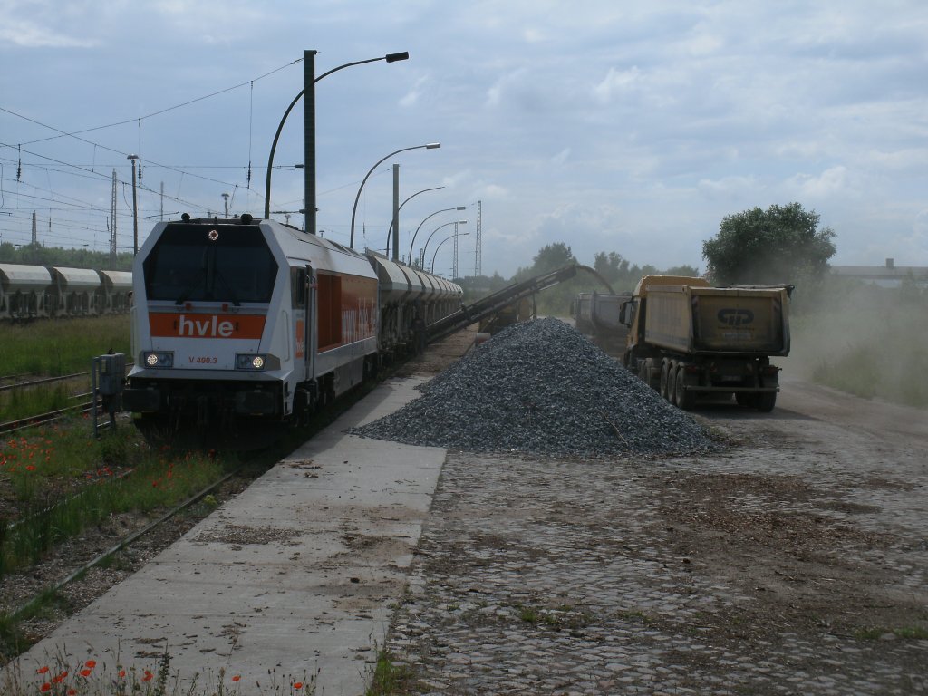 hvle Maxima V490.3,am 24.Juni 2013,auf der Ladestrae in Bergen/Rgen wo es mchtig staubte.