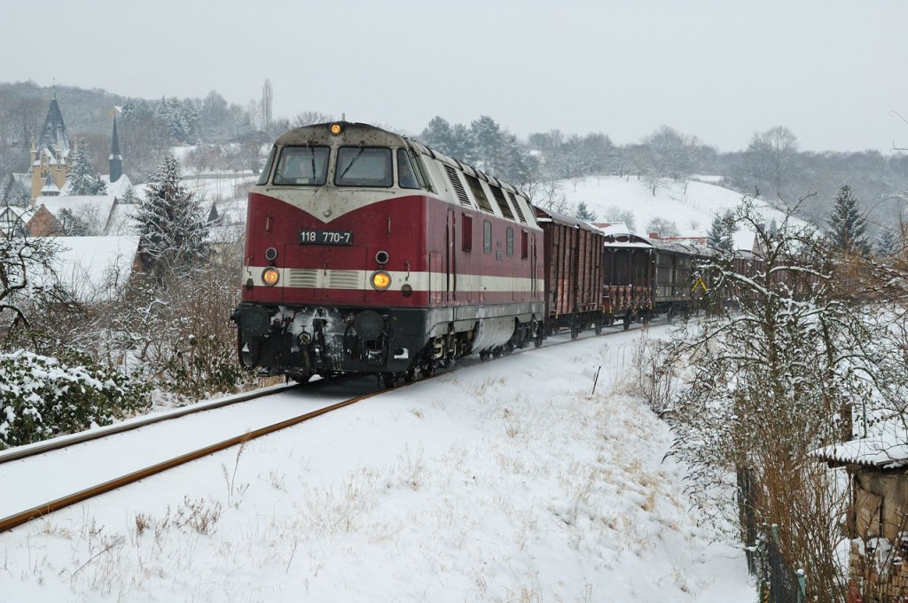 IG 58 3047 e.V. 118 770-7 mit einem Fotog�terzug von Gera nach S�mmerda, in Ro�bach; 29.01.2005 (Foto: Torsten Barth)