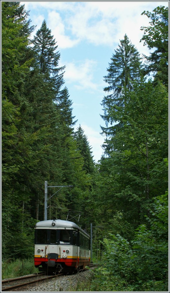 Kleiner Zug im grossen dunklen Wald: cmn BDe 4/4 N 5 bei Les Frtes am 19. August 2010.