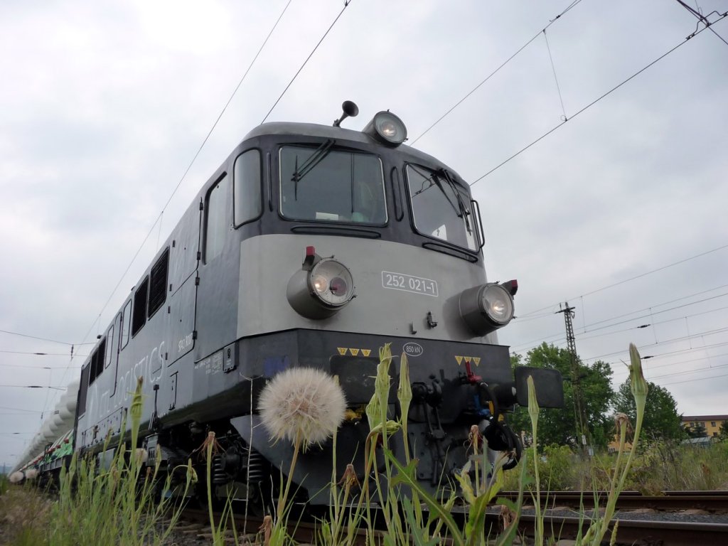  Krabbenkutter  mit  Pusteblume  - CTL 252 021-1 (ST43 R007) mit leeren Lafarge Zementkesselwagen nach Karsdorf Zementwerk, am 13.06.2012 in Naumburg Hbf. (Foto: Klaus Pollm�cher)