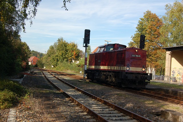 LEG 202 703-5 (92 80 1203 230-8 D-LEG) rangiert nach der Ankunft mit dem  Rotk�ppchen-Express  aus Altenburg im Bf Freyburg. Die Lok war ab Zeitz wegen einem Lagerschaden an der 41 1144-9 am Zug; 03.10.2010 (Foto: Dampflok015)