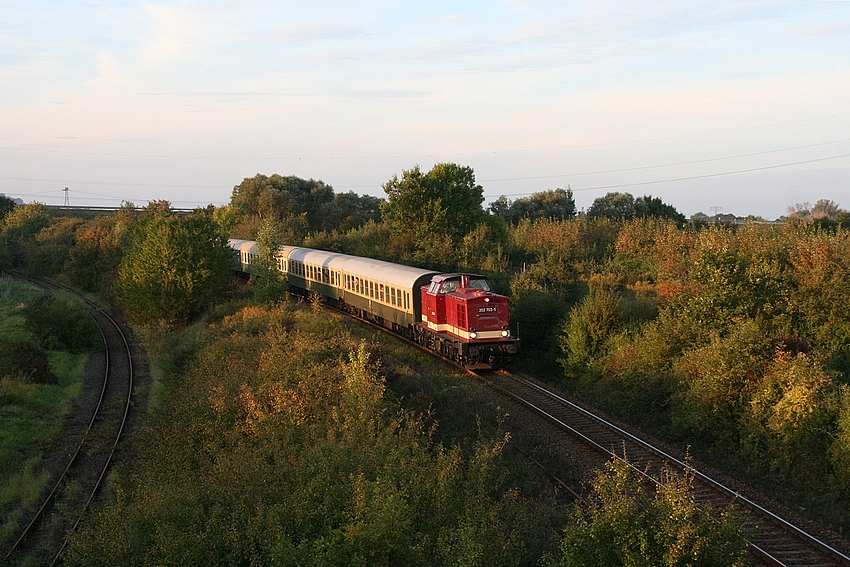 LEG 202 703-5 mit dem RE 16584  Rotk�ppchen-Express  von Freyburg nach Altenburg, bei Zeitz; 03.10.2010 (Foto: Andre Beck)