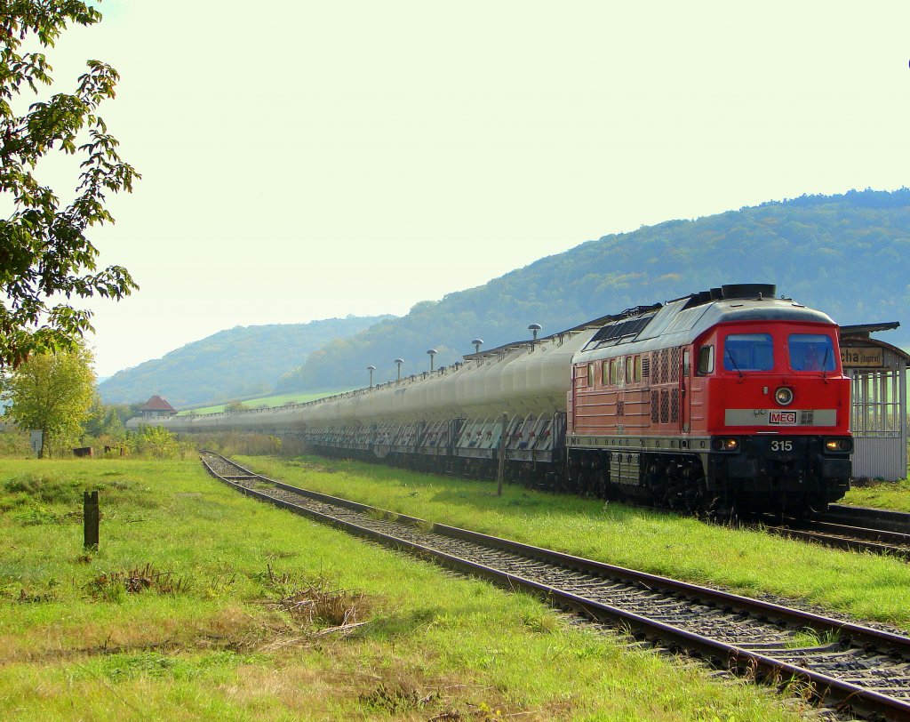 MEG 315 (92 80 1232 489-5 D-MEG) mit einem Zementleerzug nach Karsdorf, beim Kreuzungshalt im Bf Laucha; 07.10.2007 (Foto: Dieter Thomas)