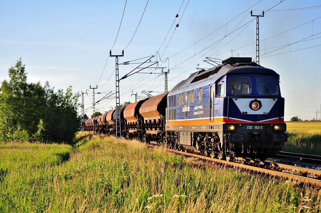 Mit einem Dngerzug vom Yara-Werk Poppendorf ist die Raildox 232 103 am 10.06.2013 unterwegs.Mit voller Maschinenleistung und heulenden Lftern brachte sie nach einem Signalhalt in Dalwitzhof den schweren Zug wieder in Fahrt. 