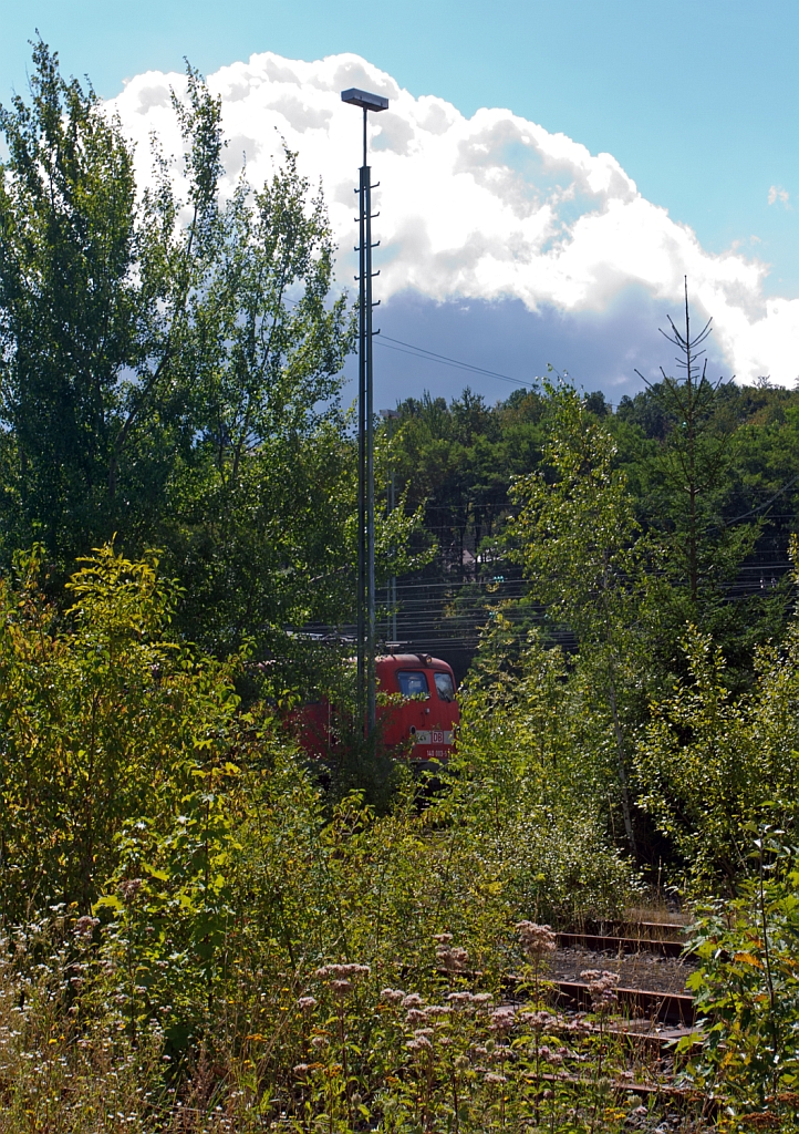 Motiv stark verdeckt - Aber das Bild hat was - Die 140 003-5 (ex E40 00) der DB Schenker Rail am 25.08.2012 in Betzdorf/Sieg etwas hinter den Bschen versteckt.