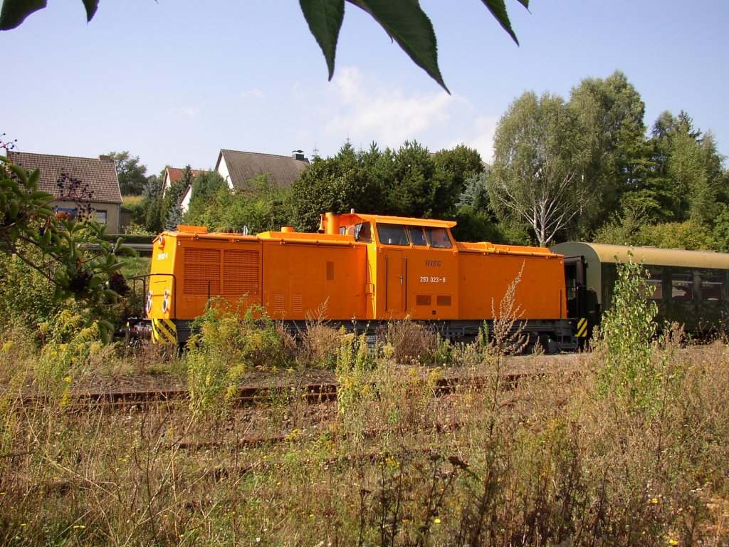MTEG 293 023-8 mit einem Winzerfest-Sonderzug aus Chemnitz, im Bf Freyburg. Vermutlich wegen Waldbrandgefahr blieb die 65 1049 zu Hause und bescherte der Unstrutbahn diese Abwechslung; 11.09.2004 (Foto: Klaus Pollm�cher)