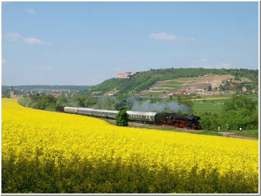 Nach der Drehfahrt �ber Camburg und Gro�heringen zog dann nach dem zweiten Halt am 19.05.2013 in Freyburg die DB Museum 03 1010 den DPE 37693 von Freyburg durch das Unstruttal bei Nu�mitz nach Gro�heringen. (Foto: Steffen Tautz)