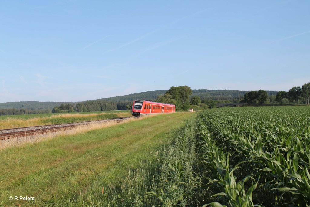 Nachschuss 612 159 als RE 3692 Regensburg - Hof bei Oberteich. 17.07.13 