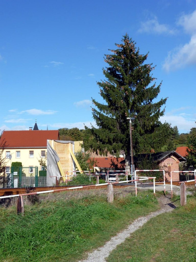 Neben dem ehemaligen Posten 1a in Ro�bach wird im Rahmen der Sanierungsarbeiten an der Unstrutbahn auch ein neuer Haltepunkt errichtet; 07.10.2011 (Foto: Klaus Pollm�cher)